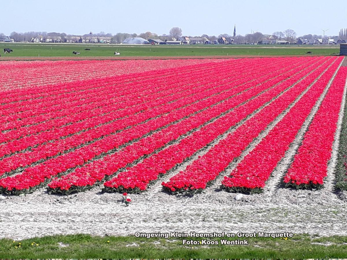Klein Heemshof - Noord Holland Aan Uw Voeten Warmenhuizen Ngoại thất bức ảnh