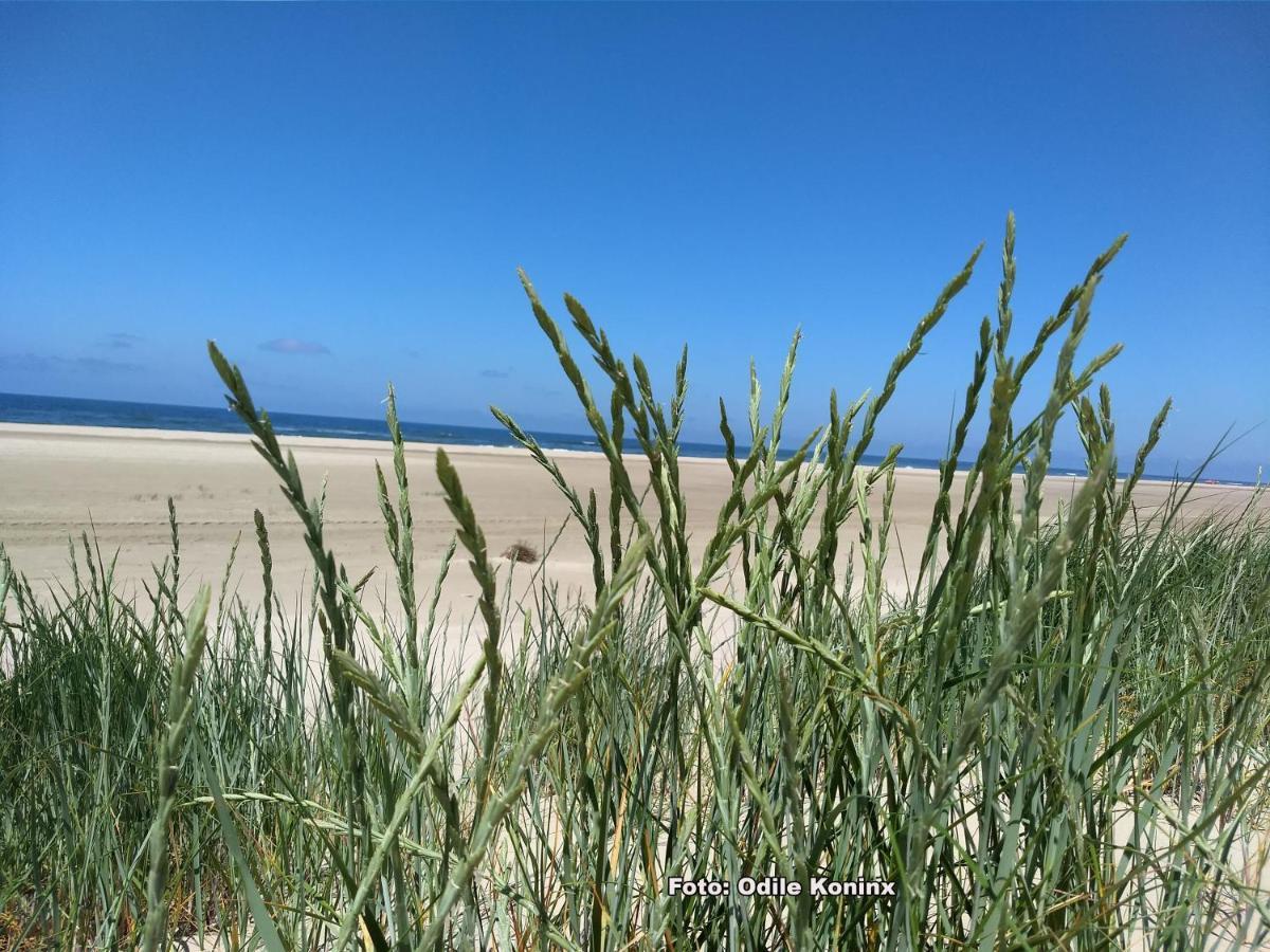 Klein Heemshof - Noord Holland Aan Uw Voeten Warmenhuizen Ngoại thất bức ảnh